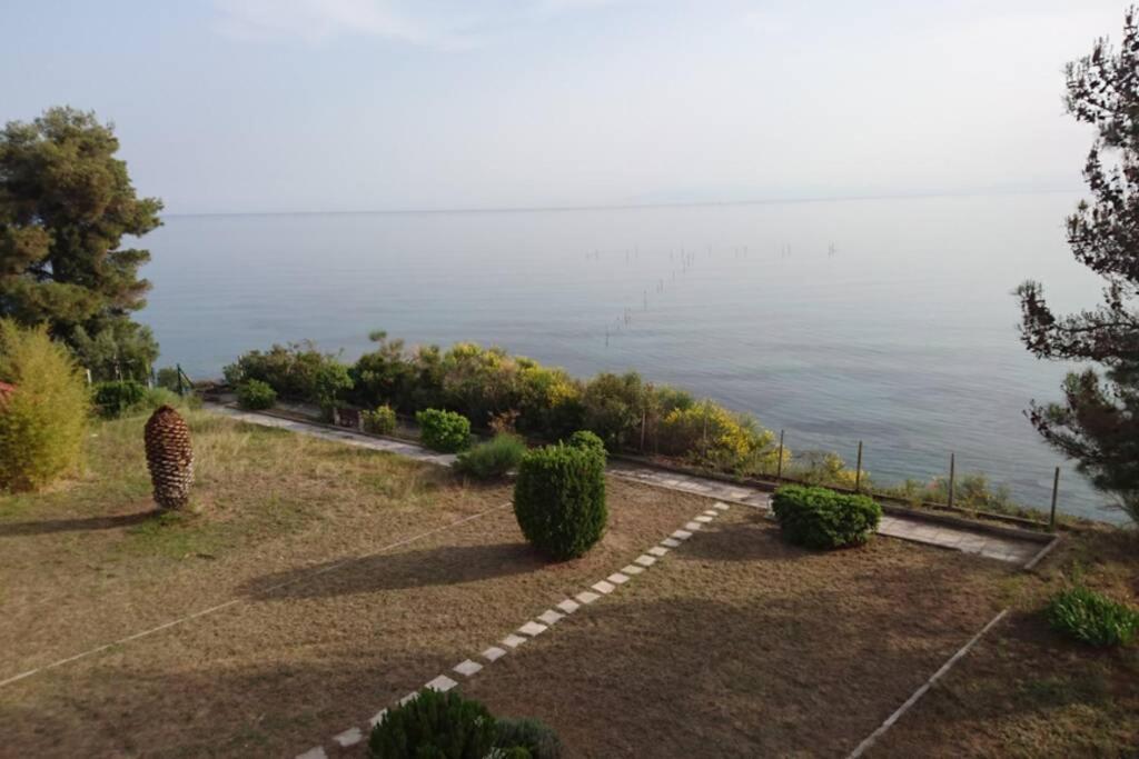 Sunshine House Offering Spectacular Views To Olymp A Διαμέρισμα Νέα Ηράκλεια Εξωτερικό φωτογραφία