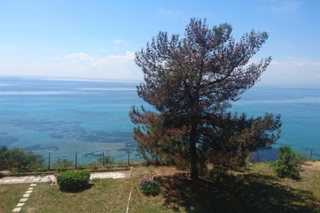 Sunshine House Offering Spectacular Views To Olymp A Διαμέρισμα Νέα Ηράκλεια Εξωτερικό φωτογραφία