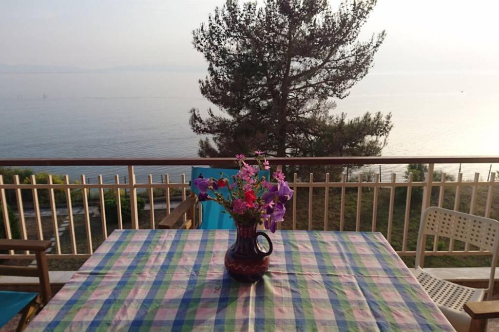 Sunshine House Offering Spectacular Views To Olymp A Διαμέρισμα Νέα Ηράκλεια Εξωτερικό φωτογραφία
