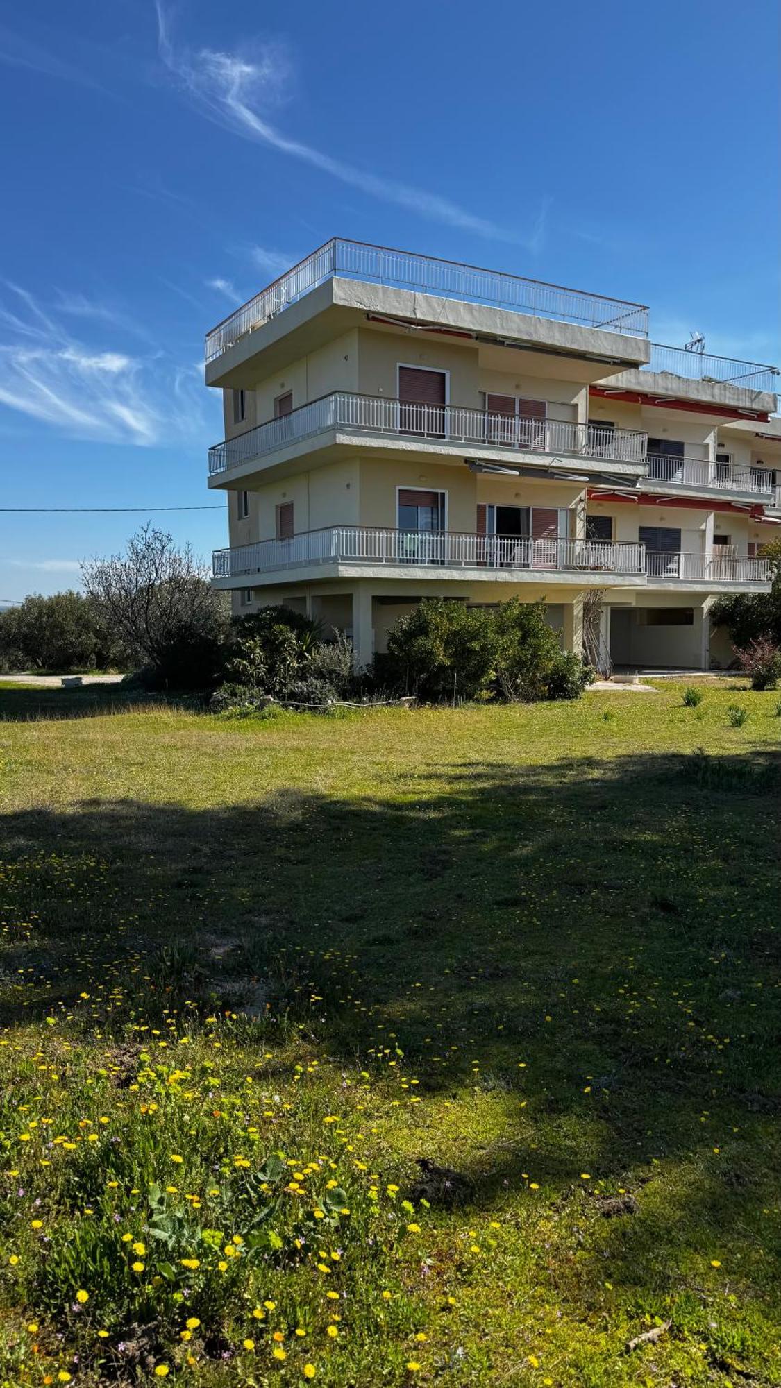 Sunshine House Offering Spectacular Views To Olymp A Διαμέρισμα Νέα Ηράκλεια Εξωτερικό φωτογραφία